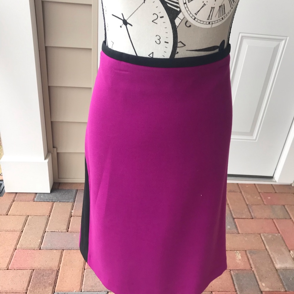 Fushia pencil skirt with black trim on both sides.